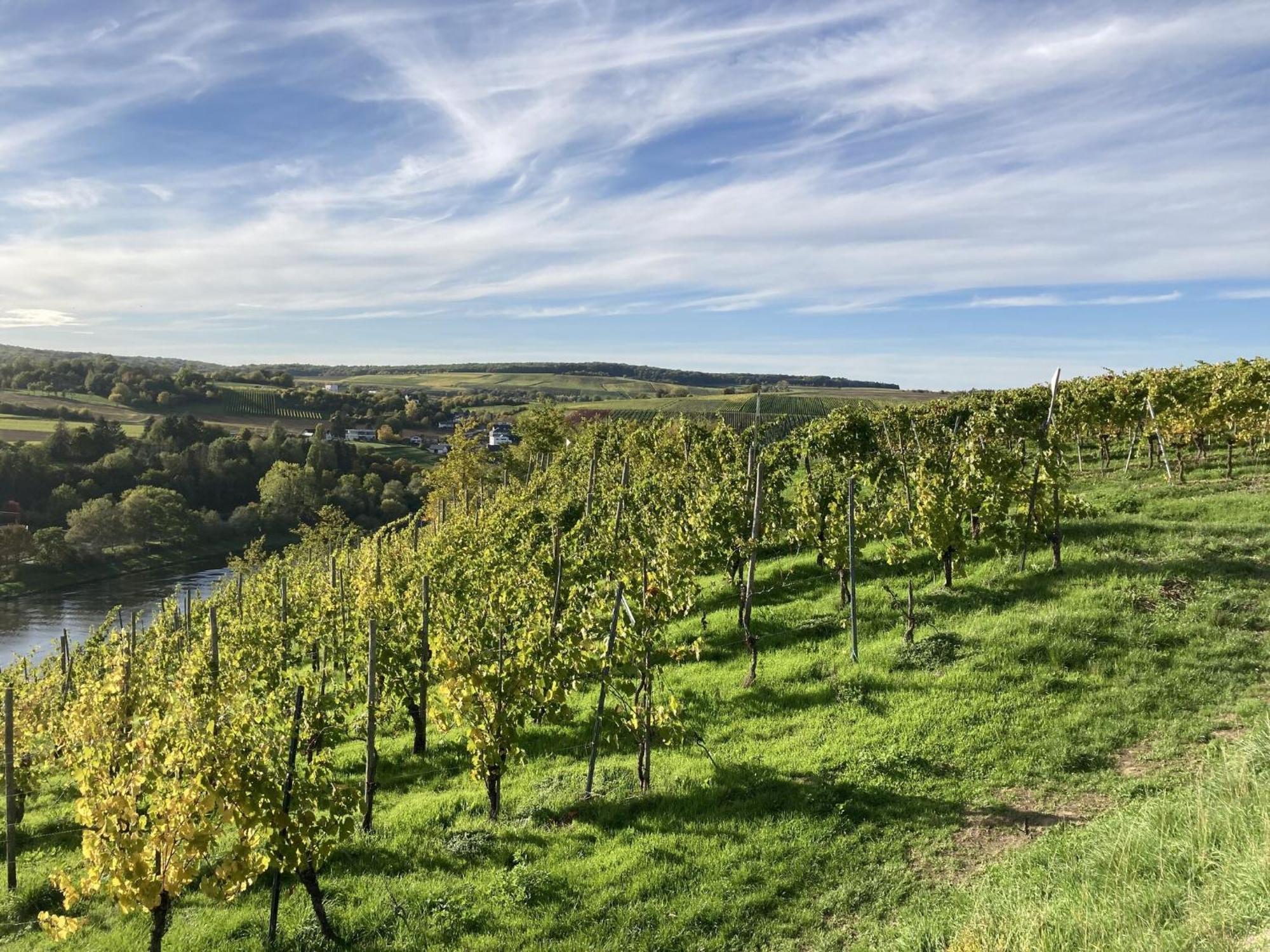 Comfortable Apartment In Ediger Eller Eifel Sankt Aldegund Exteriör bild